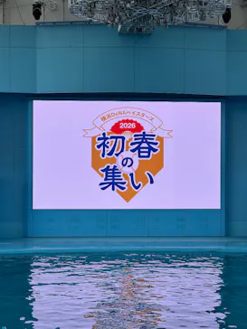 横浜・八景島シーパラダイスに投稿された画像（2026/1/26）