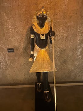 MYSTERY OF TUTANKHAMEN 体感型古代エジプト展に投稿された画像（2026/1/26）
