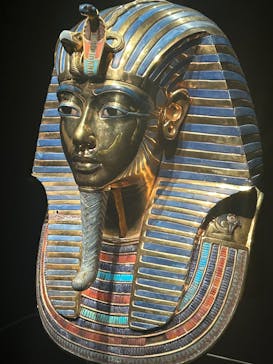 MYSTERY OF TUTANKHAMEN 体感型古代エジプト展に投稿された画像（2026/1/26）