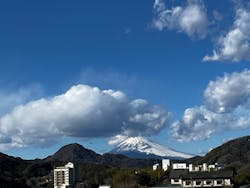 ニュー八景園に投稿された画像（2026/1/26）
