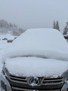 六日町八海山スキー場に投稿された画像（2026/1/26）