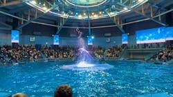 マクセル アクアパーク品川に投稿された画像（2026/1/26）