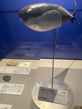 特別展「大絶滅展―生命史のビッグファイブ」に投稿された画像（2026/1/26）