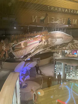 特別展「大絶滅展―生命史のビッグファイブ」に投稿された画像（2026/1/26）