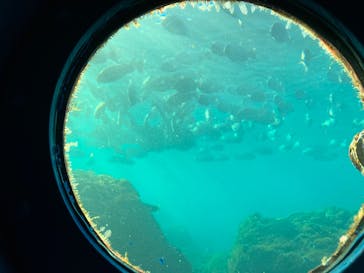 串本海中公園水族館に投稿された画像（2026/1/26）