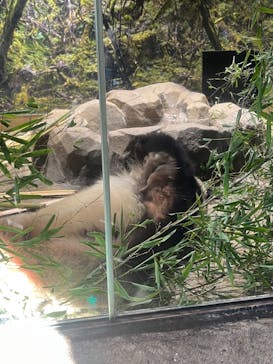 恩賜上野動物園に投稿された画像（2026/1/26）