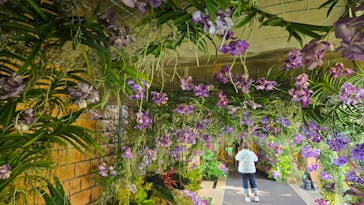 沖縄美ら海水族館×熱帯ドリームセンターに投稿された画像（2026/1/26）