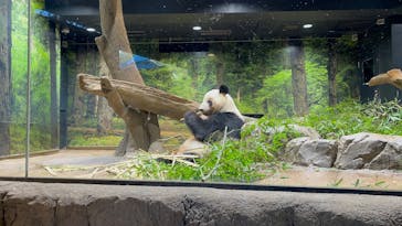 恩賜上野動物園に投稿された画像（2026/1/26）