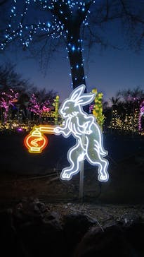 伊豆高原グランイルミに投稿された画像（2026/1/26）