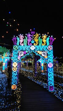 伊豆高原グランイルミに投稿された画像（2026/1/26）