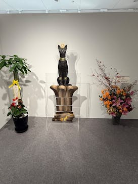 IMMERSIVE JOURNEY 名古屋に投稿された画像（2026/1/26）