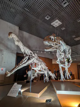 特別展「大絶滅展―生命史のビッグファイブ」に投稿された画像（2026/1/26）