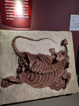 特別展「大絶滅展―生命史のビッグファイブ」に投稿された画像（2026/1/26）