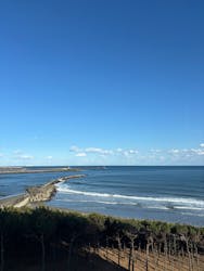 アクアワールド茨城県大洗水族館に投稿された画像（2026/1/26）