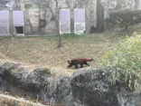 多摩動物公園に投稿された画像（2026/1/26）