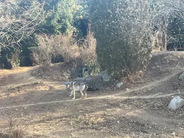 多摩動物公園に投稿された画像（2026/1/26）