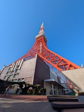 東京タワーに投稿された画像（2026/1/26）