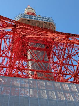 東京タワーに投稿された画像（2026/1/26）