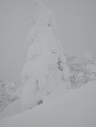 阿仁スキー場に投稿された画像（2026/1/26）