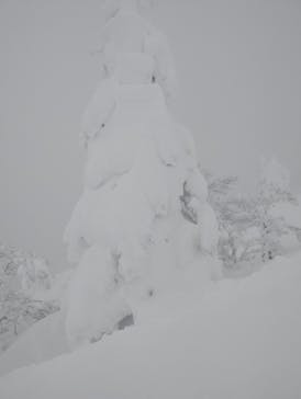 阿仁スキー場に投稿された画像（2026/1/26）