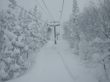 阿仁スキー場に投稿された画像（2026/1/26）