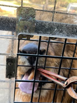 群馬サファリパークに投稿された画像（2026/1/26）