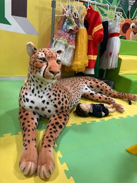 ザキッズ 横浜ノースポートモール店に投稿された画像（2026/1/26）