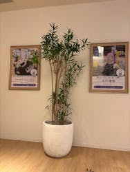 うめきた温泉 蓮 Wellbeing Parkに投稿された画像（2026/1/26）