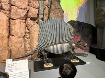 特別展「大絶滅展―生命史のビッグファイブ」に投稿された画像（2026/1/26）