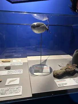 特別展「大絶滅展―生命史のビッグファイブ」に投稿された画像（2026/1/26）