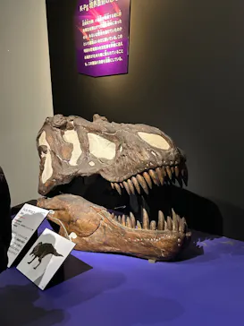 特別展「大絶滅展―生命史のビッグファイブ」に投稿された画像（2026/1/26）