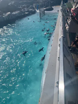 葛西臨海水族園に投稿された画像（2026/1/26）