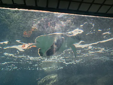 葛西臨海水族園に投稿された画像（2026/1/26）