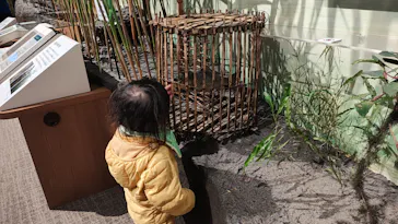 滋賀県立琵琶湖博物館に投稿された画像（2026/1/26）