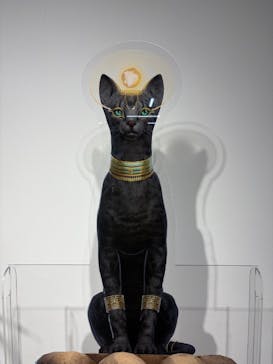 IMMERSIVE JOURNEY 名古屋に投稿された画像（2026/1/26）