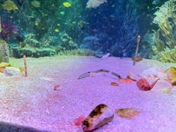 ひらかたパークに投稿された画像（2026/1/26）