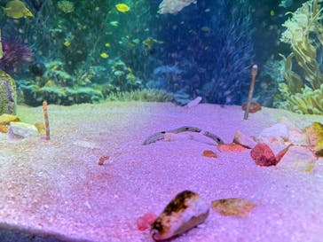 ひらかたパークに投稿された画像（2026/1/26）