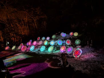 ぎふ灯り物語 ２０２６に投稿された画像（2026/1/26）