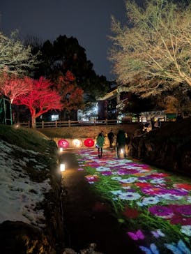 ぎふ灯り物語 ２０２６に投稿された画像（2026/1/26）