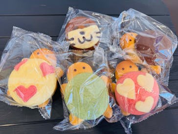 新江ノ島水族館に投稿された画像（2026/1/26）