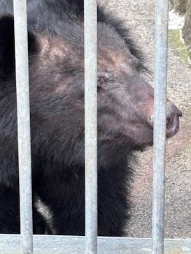 阿蘇カドリー・ドミニオンに投稿された画像（2026/1/26）