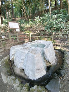 偕楽園本園に投稿された画像（2026/1/26）