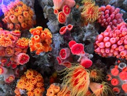 マクセル アクアパーク品川に投稿された画像（2026/1/26）