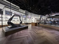 アクアワールド茨城県大洗水族館に投稿された画像（2026/1/26）