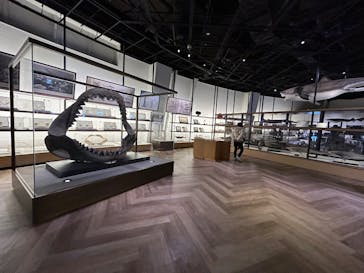 アクアワールド茨城県大洗水族館に投稿された画像（2026/1/26）