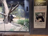 恩賜上野動物園に投稿された画像（2026/1/26）