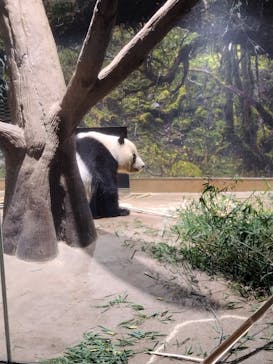恩賜上野動物園に投稿された画像（2026/1/26）