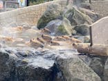 伊豆シャボテン動物公園に投稿された画像（2026/1/26）