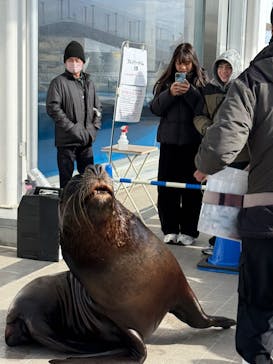 仙台うみの杜水族館に投稿された画像（2026/1/26）