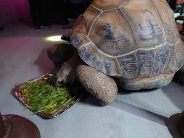 AQUARIUM × ART　atoaに投稿された画像（2026/1/26）